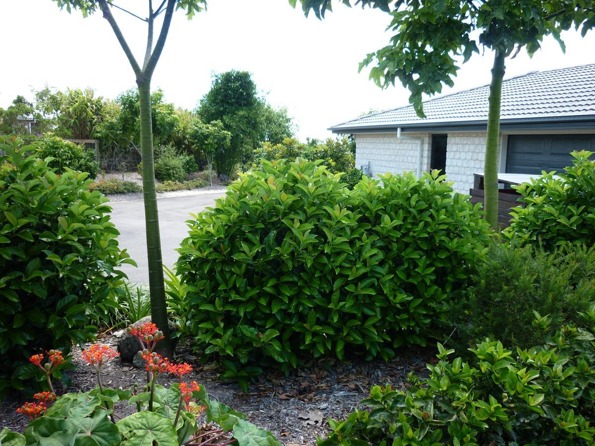 Willowbank Drive Bed & Breakfast Εξωτερικό φωτογραφία